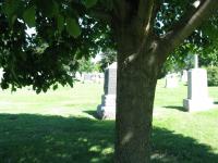 Chicago Ghost Hunters Group investigates Calvary Cemetery (61).JPG